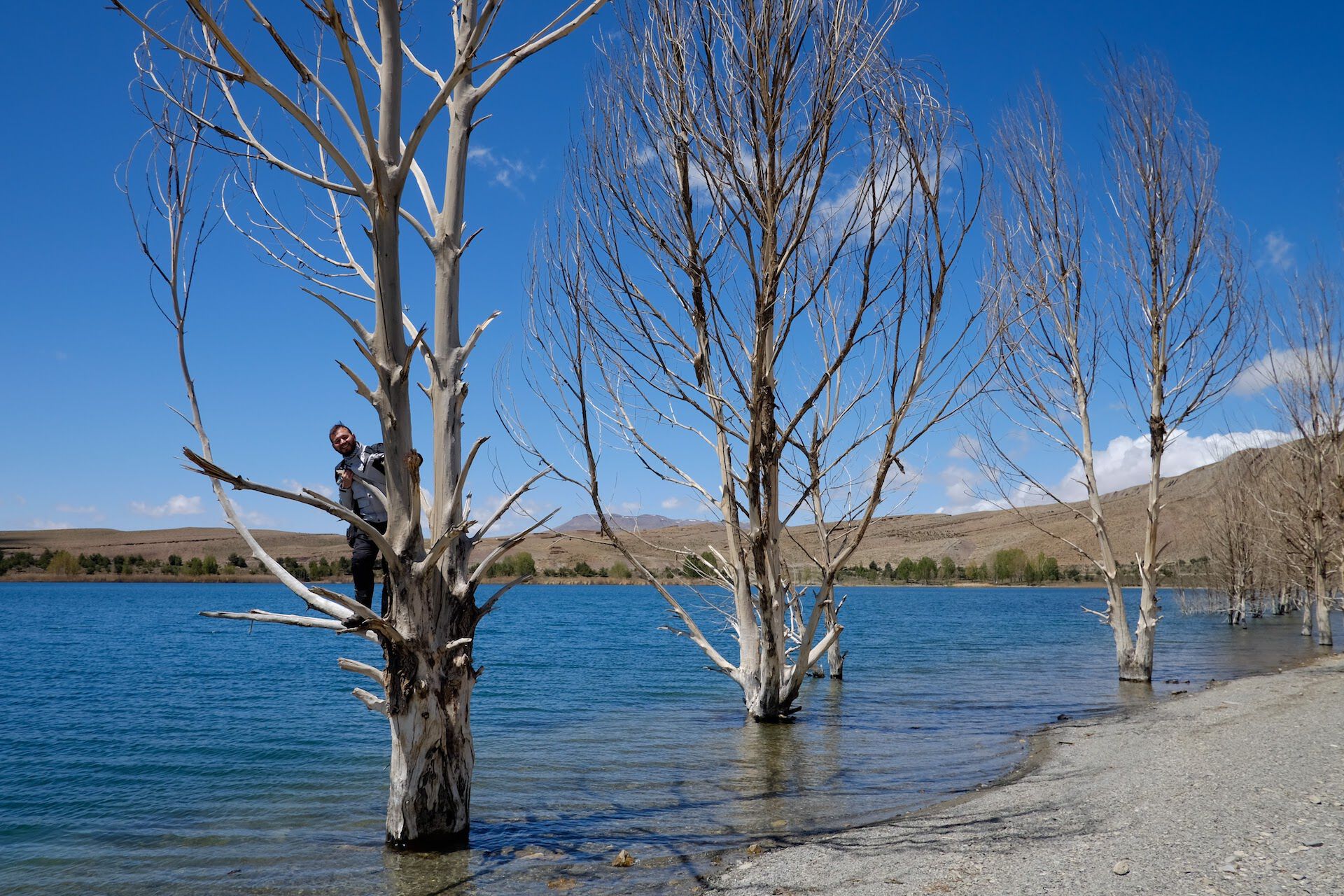 Alberi lago Tislit