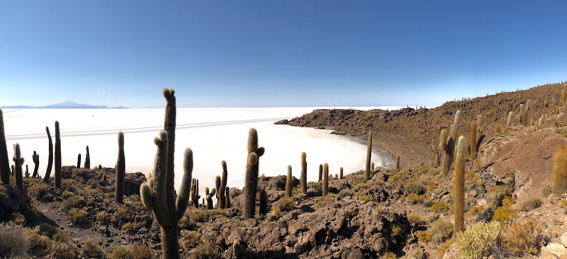 Isla Incahuasi (Bolivia)