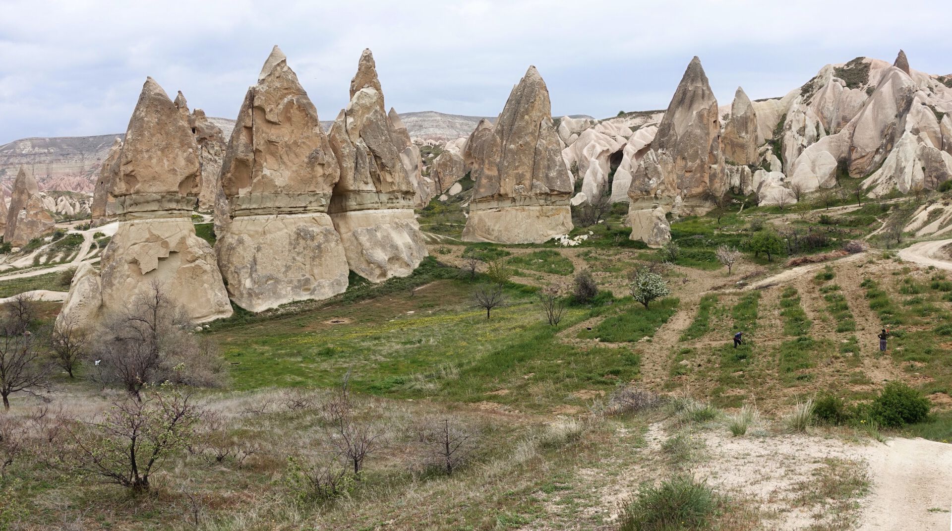 Camini delle fate - Valle delle Rose (Cappadocia)