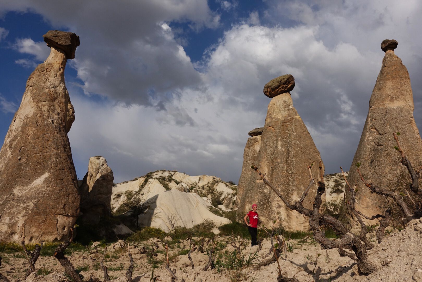 Vigna tra i camini delle fate (Cappadocia)